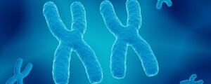 Imagem de vários cromossomos X na cor azul.