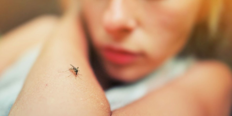 Se não tratada, a dengue pode levar a sérios problemas de saúde e até à morte - Foto: Shutterstock