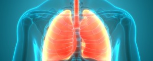 ilustração de um pulmão
