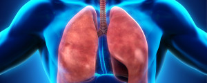 Ilustração do sistema respiratório humano