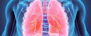 Ilustração da parte superior do corpo humano com o pulmão em destaque