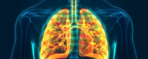 Ilustração da parte superior do corpo humano com pulmão destacado
