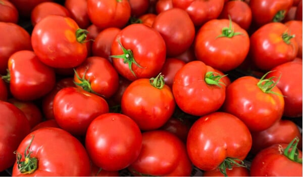 Tomates - Foto: Ewa Studio/Shutterstock
