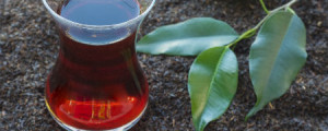 Chá de amora ajuda a combater sintomas da menopausa