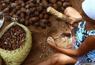 Uma das Quebradeiras de Coco Babaçu, camponesas que atuam principalmente no Maranhão e Piauí - Foto: Ana Mendes/Repórter Brasil