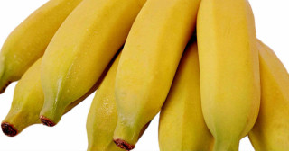 Banana maçã - Foto: Shutterstock