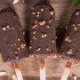 Picolé de chocolate e avelãs: sem açúcar e sem lactose