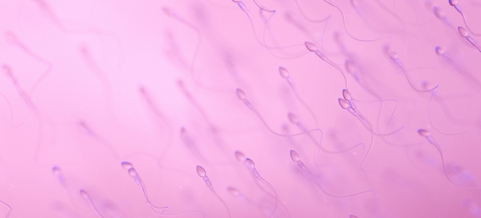 ilustração gráfica de espermatozoides em fundo rosa