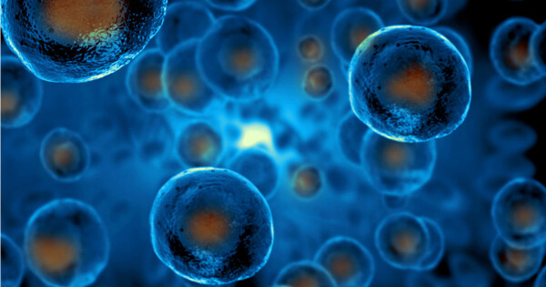 Imagem representativa de células-tronco